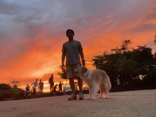 犬連れ登山のススメ
