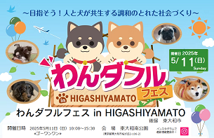 わんダフル　フェス　今日みたい