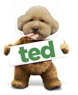 ted1 - コピー.JPG